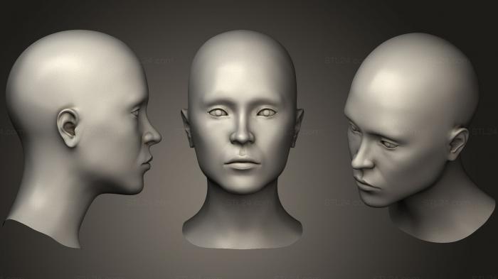 Anatomy of skeletons and skulls (Female Head Base, ANTM_0512) 3D models for cnc